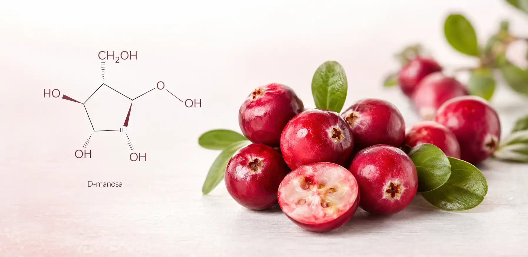 Las frutas y verduras de temporada aportan agua y nutrientes dentro de una dieta variada. Arándano rojo americano y D-manosa para el cuidado del bienestar urinario