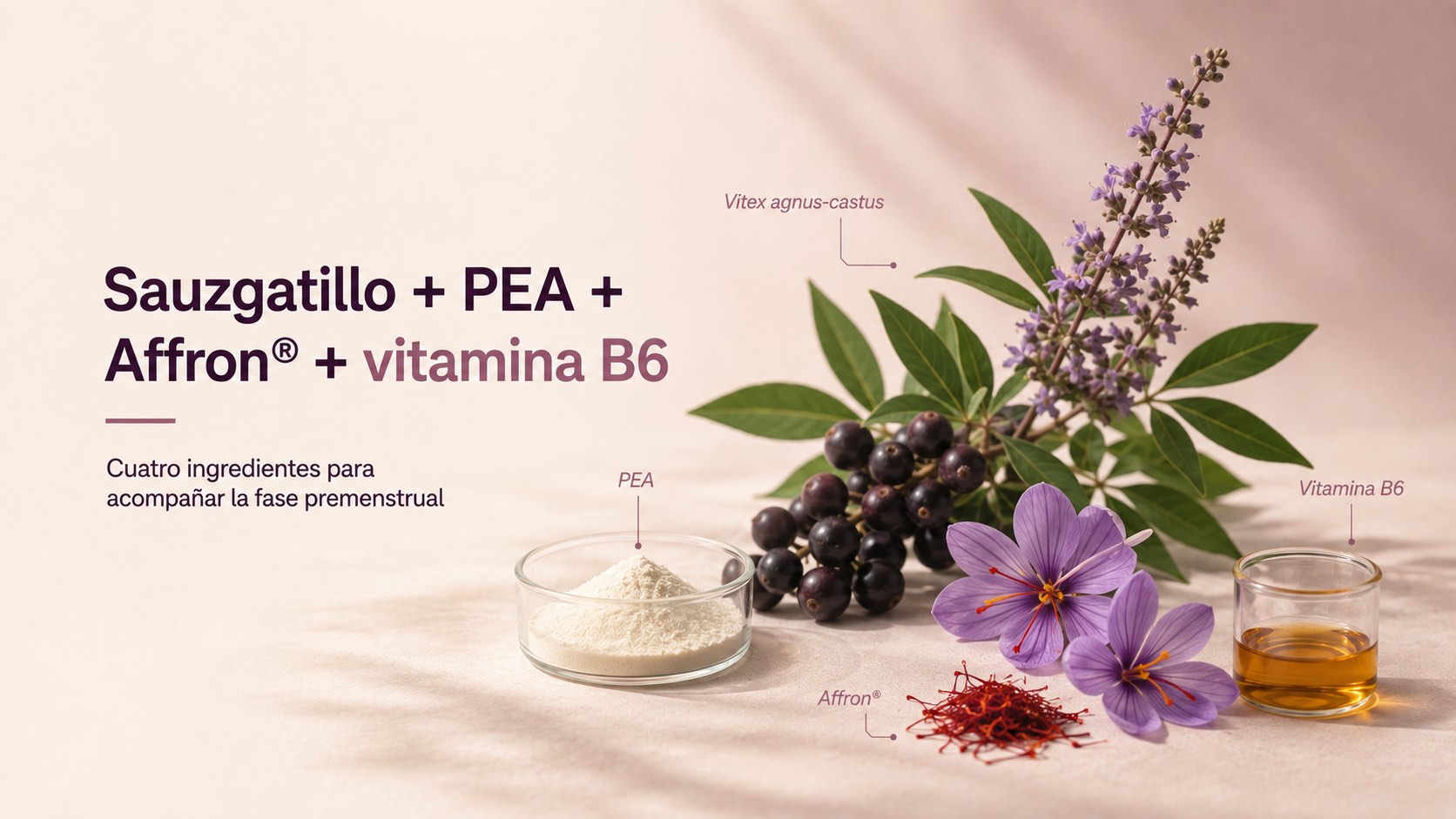 Sauzgatillo, azafrán, PEA y vitamina B6, ingredientes de FEMMELife Premenstrual